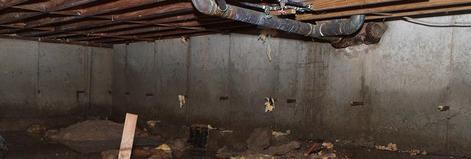 Crawl Space Repair Cost in Lexington, Charleston, & Georgetown Areas