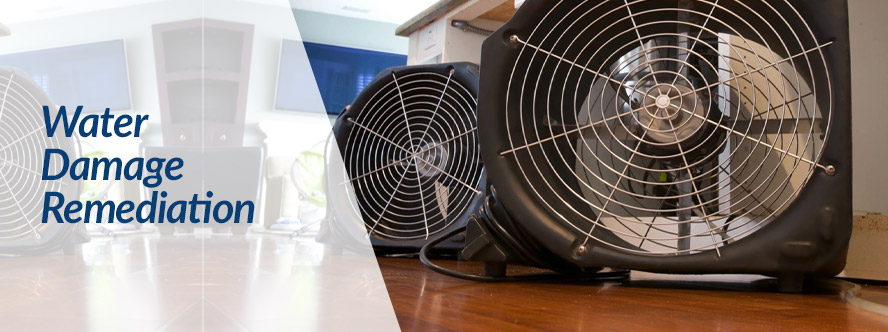 Water Damage Remediation