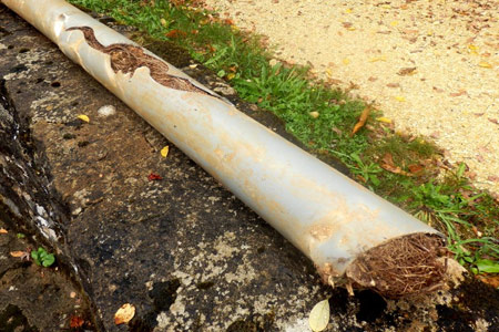 Clogged Drain Pipe Solutions