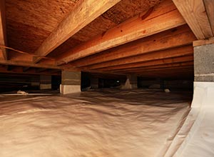 Factors Determining the Costs of Crawl Space Repair