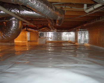 Crawl Space Encapsulation image