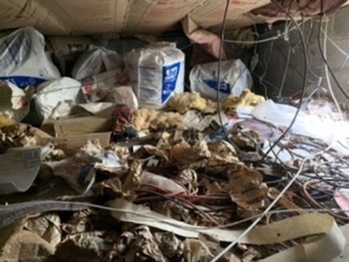 Debris in crawlspace