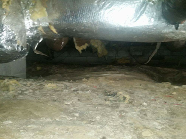 Crawl Space before renovation