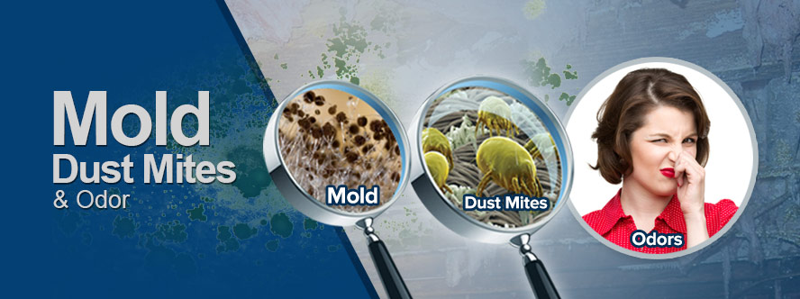 Mold, Dust Mites & Odor Removal Service in Lilburn GA