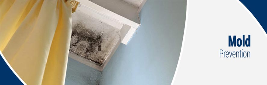 Mold Prevention