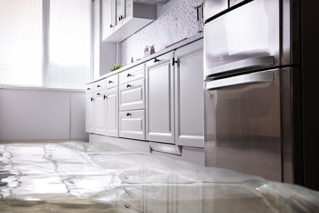 Water Damage Remediation Services